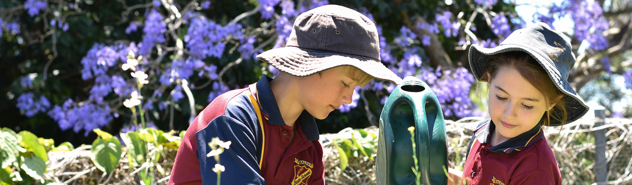 maleny-state-school